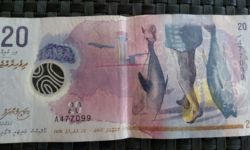 20 Maldivian Rufiyya 20 Maldivian Rufiyya
