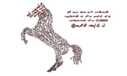 Bima Horse Illustration Bima Horse