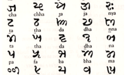 Chart of Printed Khojki Chart of Printed Khojki