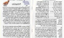 Doumbouya Nko Book Doumbouya Nko Book