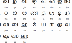 Grantha Consonants Grantha Consonants