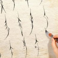 Nushu Calligraphy Photo courtesy of star2.com Nushu Calligraphy