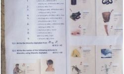 Page from Middle School Examinations in Wancho Middle School Examinations