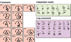 The Bagatha script The Bagatha script