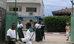 Public Mandombe Banner Public Mandombe Banner