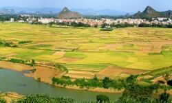 Qiaojian Town, a Zhuang town in Long'an County, Guangxi Qiaojian Town