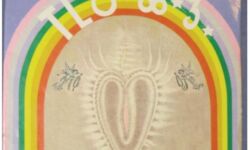 Sisu Halam Cover with Warang Citi Sisu Halam Cover with Warang Citi