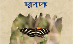 Syloti Nagri Alphabet Book Cover Syloti Nagri Alphabet Book Cover