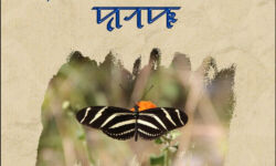 Syloti Nagri Alphabet Book Cover Syloti Nagri Alphabet Book Cover