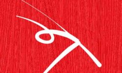 Syloti Nagri Calligraphy by Ridwan Ridoy Syloti Nagri Calligraphy