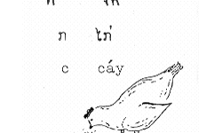 Tai Dam Alphabet Book Tai Dam Alphabet Book