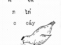 Tai Dam Alphabet Book Tai Dam Alphabet Book