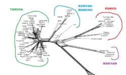 Tangsa Language Relations Tangsa Language Relations