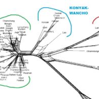 Tangsa Language Relations Tangsa Language Relations