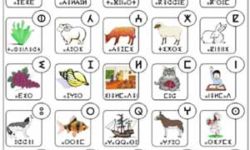 Tifinagh Alphabet Chart from Magazine Amezyan Tifinagh Alphabet Chart