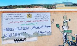 Signage on the wall outside a village school in the High Atlas Mountains, Morocco. Photo: Tim Brookes Tifinagh and Bugs