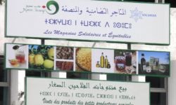 Tifinagh signs Tifinagh signs