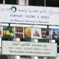 Tifinagh signs Tifinagh signs