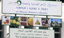 Tifinagh signs Tifinagh signs