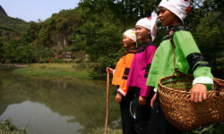 Zhuang People in Costume Zhuang People in Costume