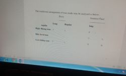 Zolai Tone Marks Dalsianpau Suantak Zolai Tone Marks Dalsianpau Suantak