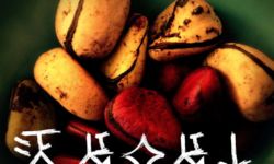 Igbo Proverb, from https://nsibidi.fandom.com/wiki/Nsibidi_Wiki Igbo Proverb