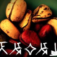 Igbo Proverb, from https://nsibidi.fandom.com/wiki/Nsibidi_Wiki Igbo Proverb