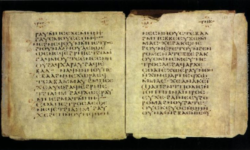 Codex Glazier. Image from Wikipedia. Codex Glazier