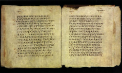 Codex Glazier. Image from Wikipedia. Codex Glazier